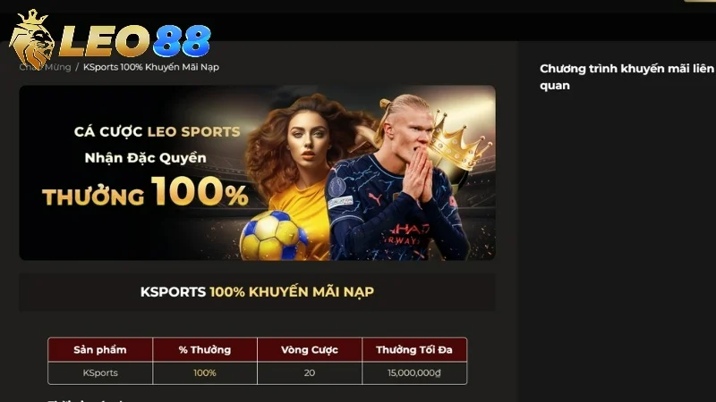Điều Khoản Sử Dụng về cược và khuyến mãi